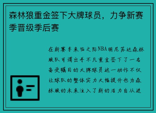 森林狼重金签下大牌球员，力争新赛季晋级季后赛